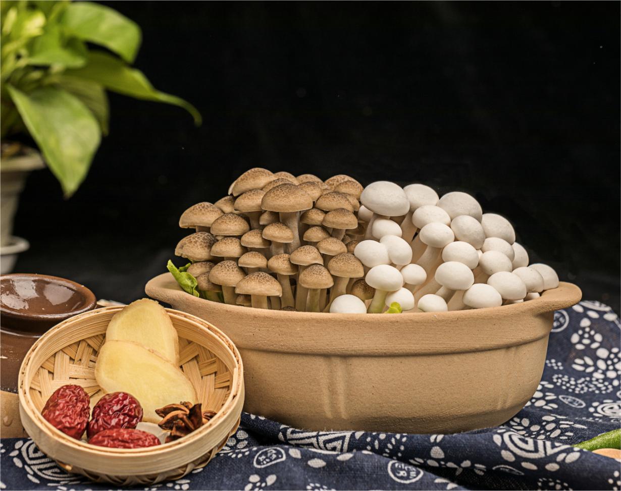 Fresh Harvests from China Your OneStop Mushroom White Shimeji